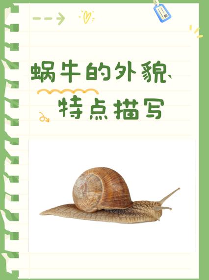形容人像蜗牛图标