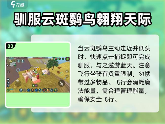 创造与魔法如何获得飞行坐骑