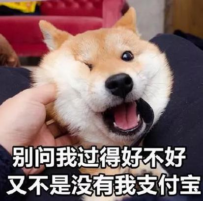 北京钱袋宝给我打钱了怎么回事