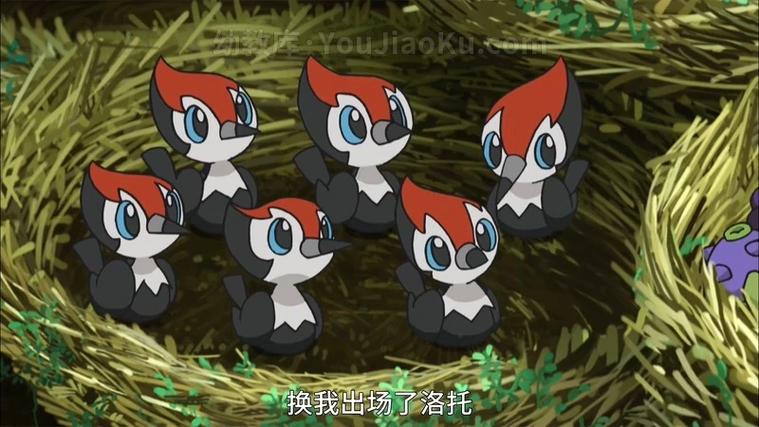 精灵宝可梦太阳月亮全集