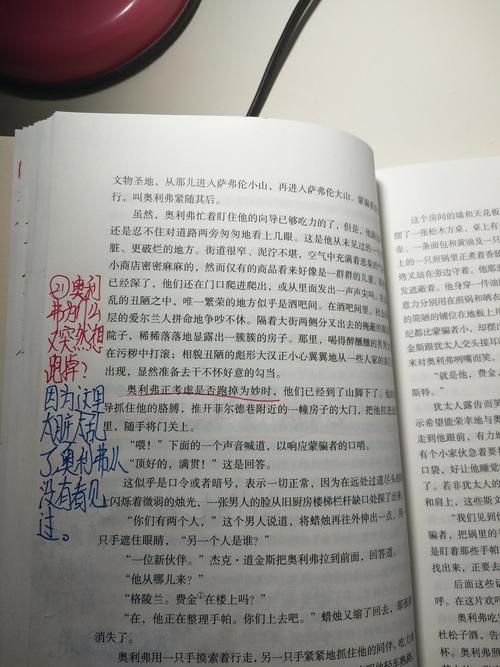 雾都孤儿每一章批注