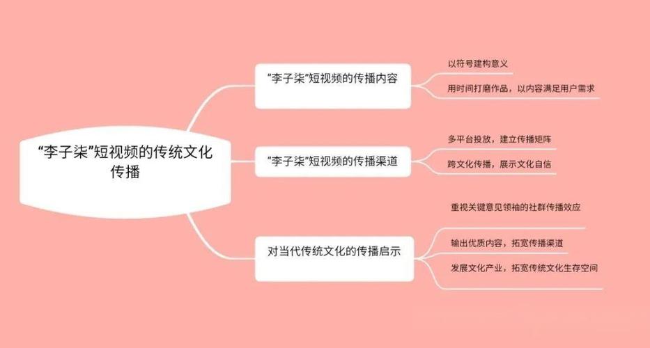 短视频的文化传播意义截图
