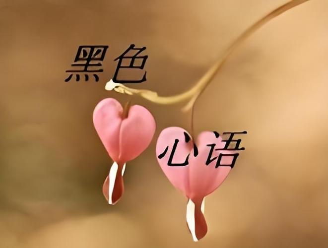 带心的网络用语