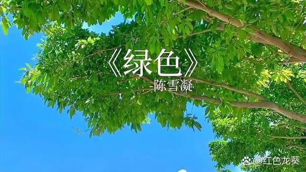 带颜色的歌词300首