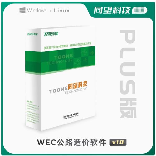 同望公路造价软件