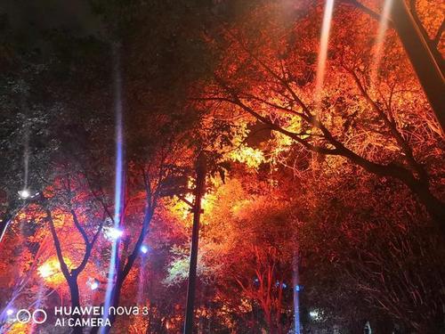 手机拍照夜晚怎样拍得清晰截图