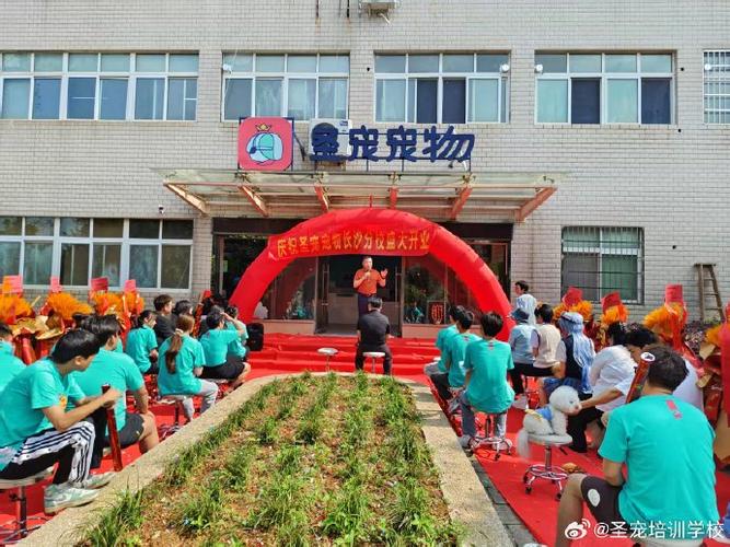 长沙宠物美容培训学校缩略图