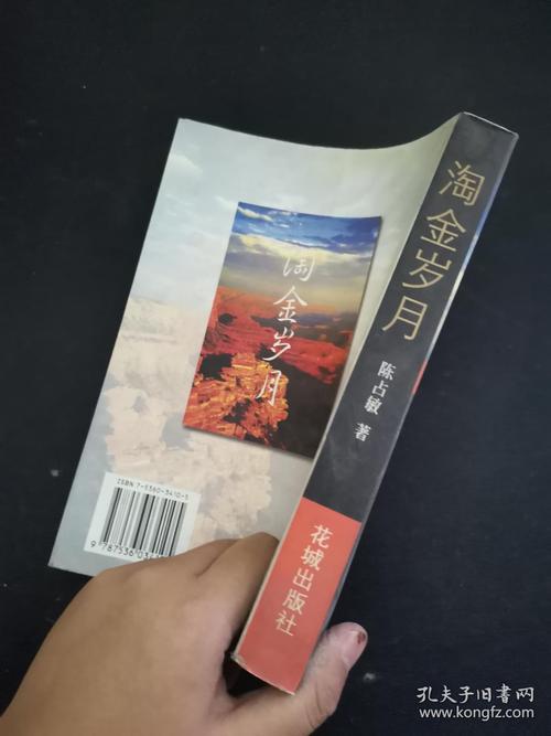 淘金岁月网站免费观看