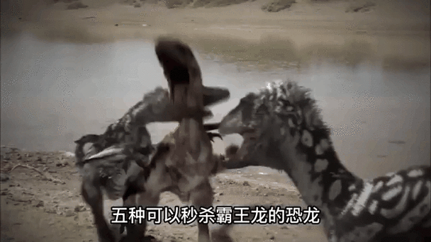 什么恐龙能打败霸王龙