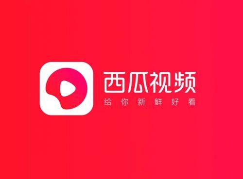 西瓜极速版最新版截图