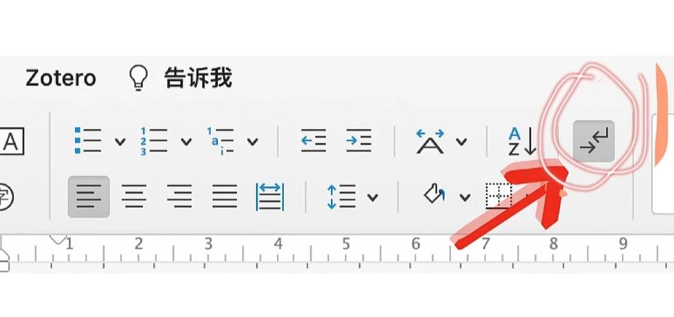 word文档有分节符怎么删除