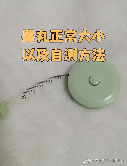 睾丸正常大小参照物截图