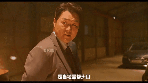 燃烧的背叛2023
