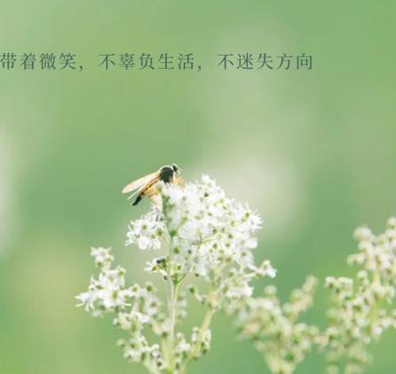 充实而又忙碌的一天说说发圈缩略图