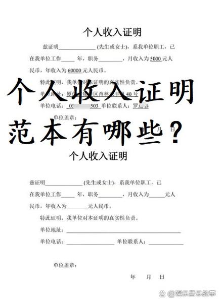 16岁申请支付宝提供收入证明有用吗