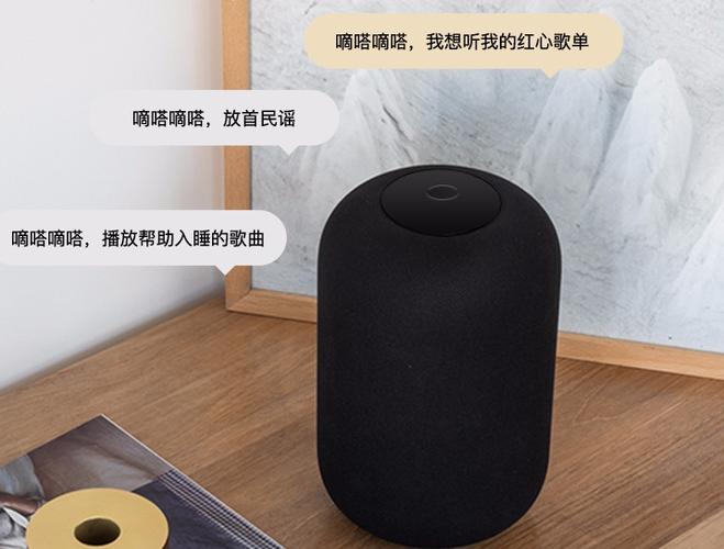云音箱可以放音乐吗