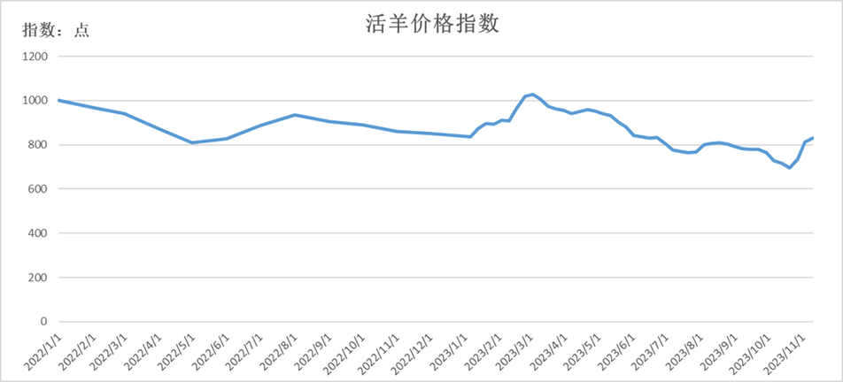 羊价最新价格行情图标