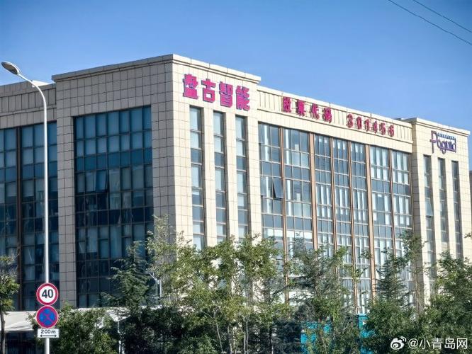 盘古公司简介