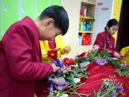 花儿与少年欣赏课