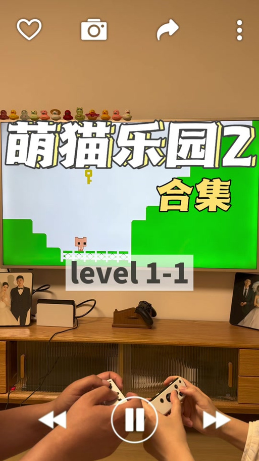 萌猫公园联机