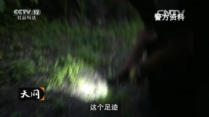 天网无头白骨