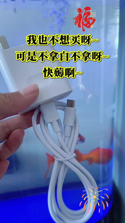为什么闪充的充电器变成不闪充了