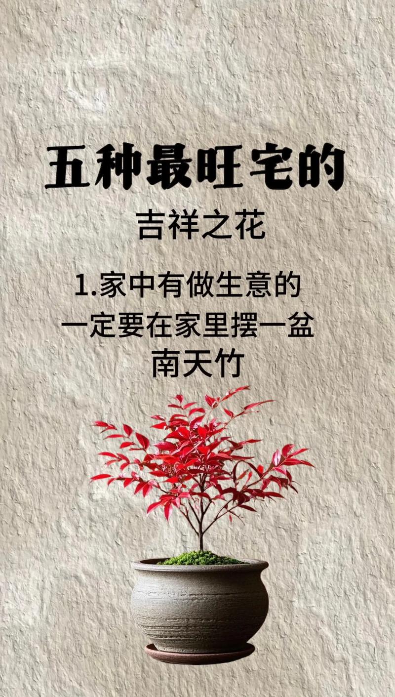 最旺宅的花第一名