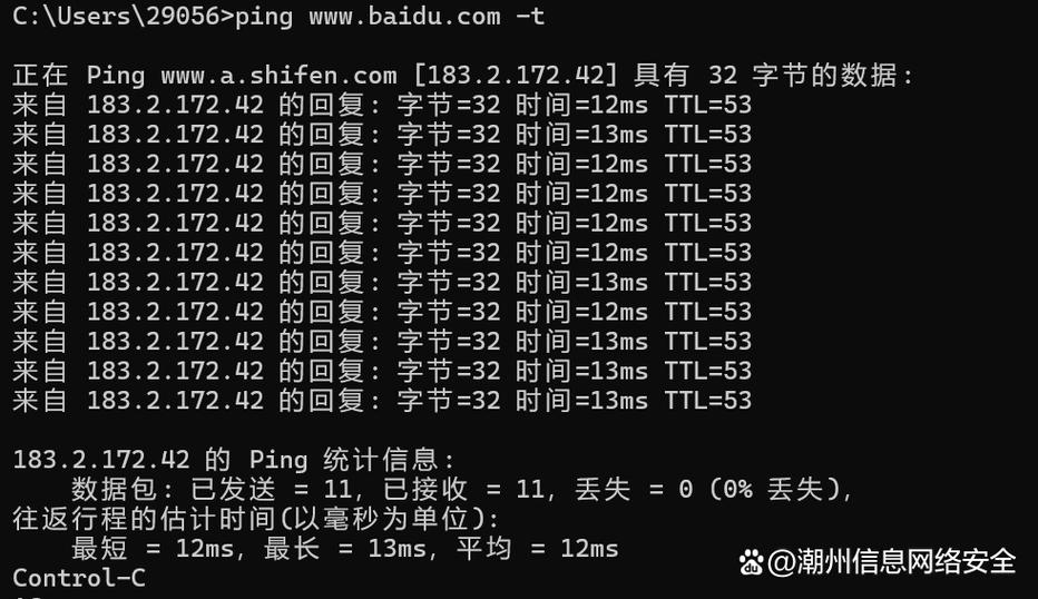 crt长ping命令截图