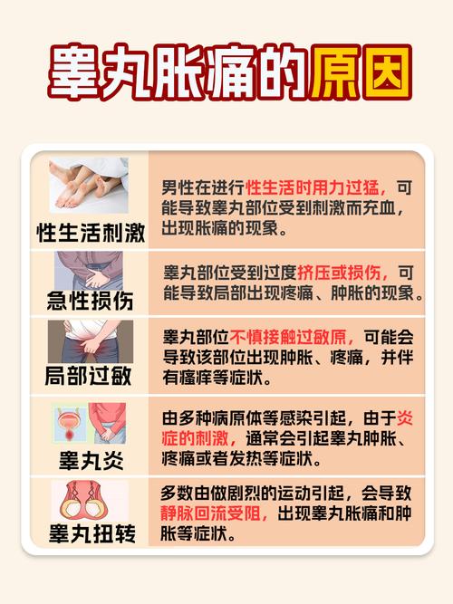 睾丸有坠感隐疼啥原因