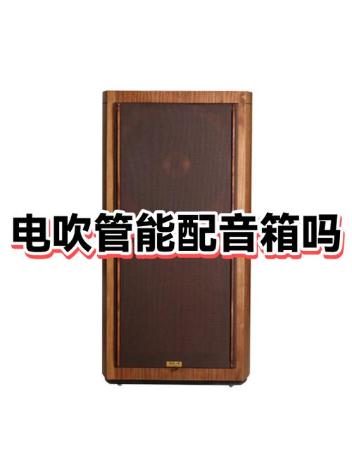 电吹管不用音响可以吗截图