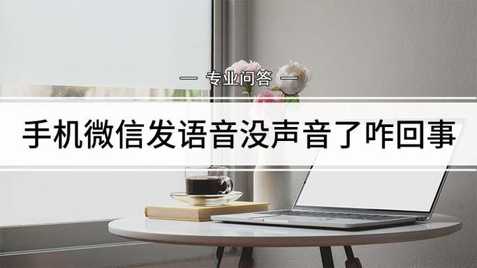 微信发语音滴一声没了
