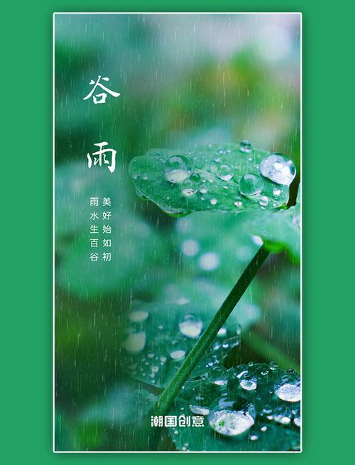 谷雨故事app官方下载