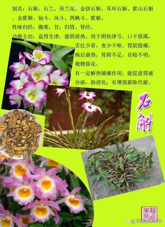 石斛的功能主治