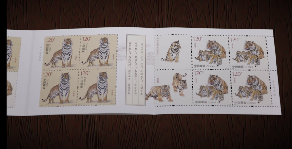 虎的成语寓意最好图标