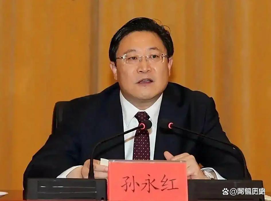 孙永红父亲简历介绍截图