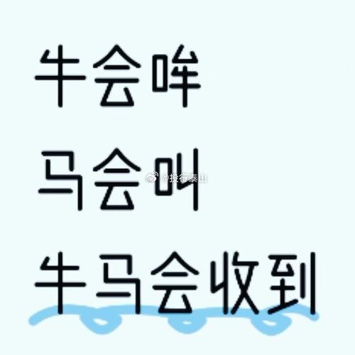 收马是什么意思网络用语