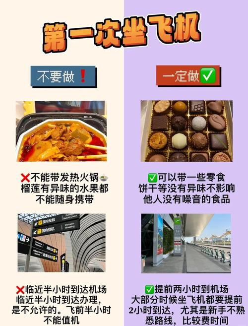 薯片能带上飞机的原因截图
