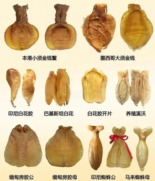 深海鱼胶的食用方法
