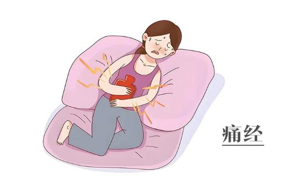 月经表安全周期计算