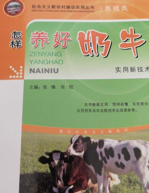 如何养好奶牛