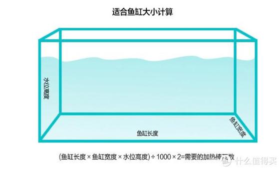 鱼缸最佳吉利尺寸游戏截图