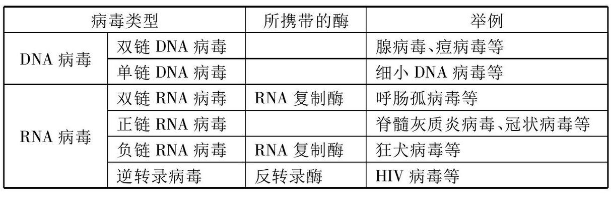 dna病毒举例