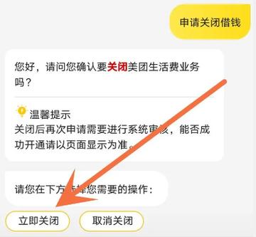 美团生活费有额度借不出来图标
