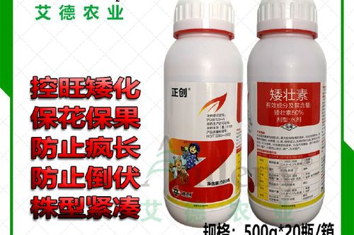 矮壮素对小麦有没有影响