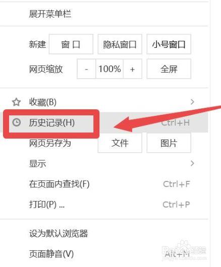 浏览器记录删除了还能恢复吗缩略图