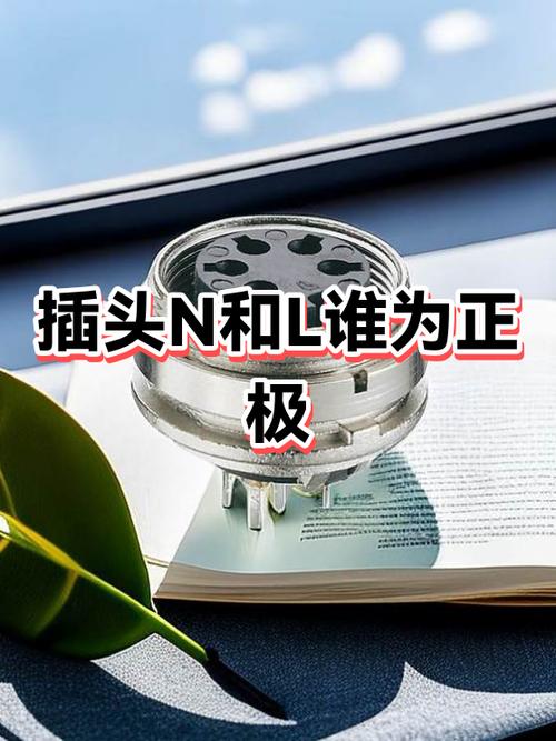 乚和N哪个是正极