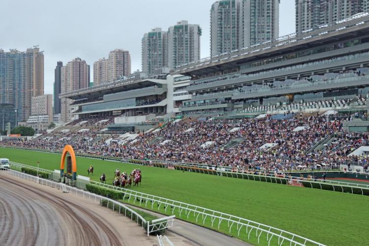 香港赛马会资料大公开