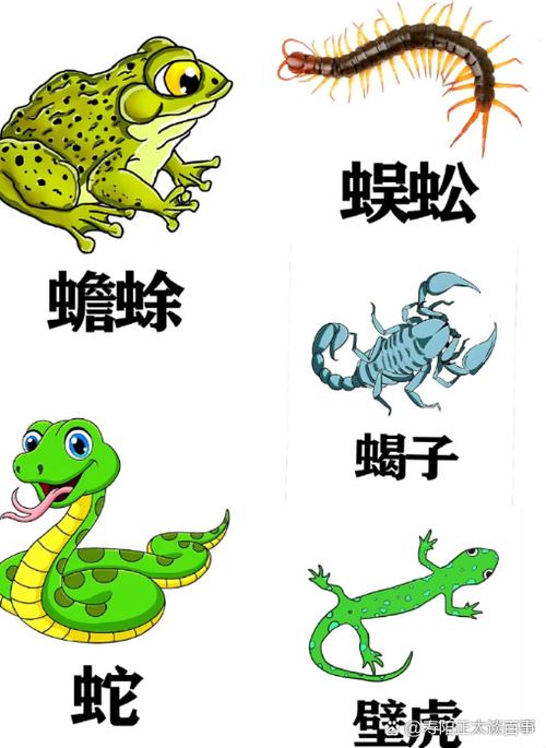 五毒小蛇斗蜈蚣无限金币版