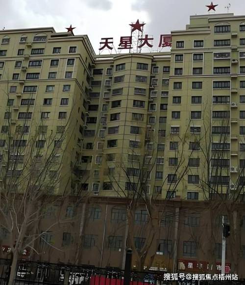 天星金融联系电话