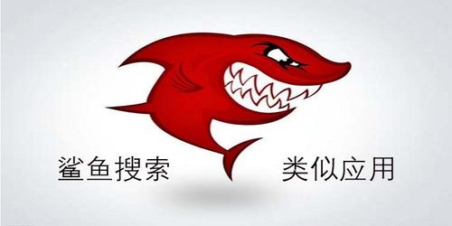 鲨鱼搜索app大小